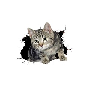 
3D three-dimensional kitten car sticker creative personality cute funny cat covers the body and tail scratches scratch stickers