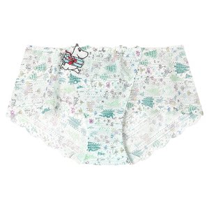 Wacoal MOOMIN co-branded cute lace mid-low waist boxer briefs