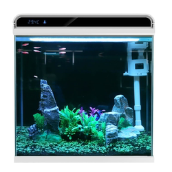 Sensen ultra-white glass fish tank high-definition visual experience
