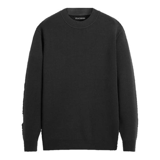 Peacebird men's sweater winter wool slim base shirt round neck solid color fashionable warm knitted sweater