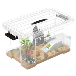 Turtle feeding tank ecological landscaping week packing transparent tank