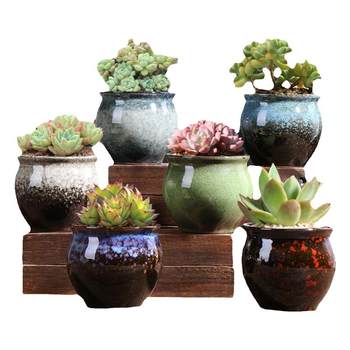 Direct selling of fleshy pot ceramic manufacturers
