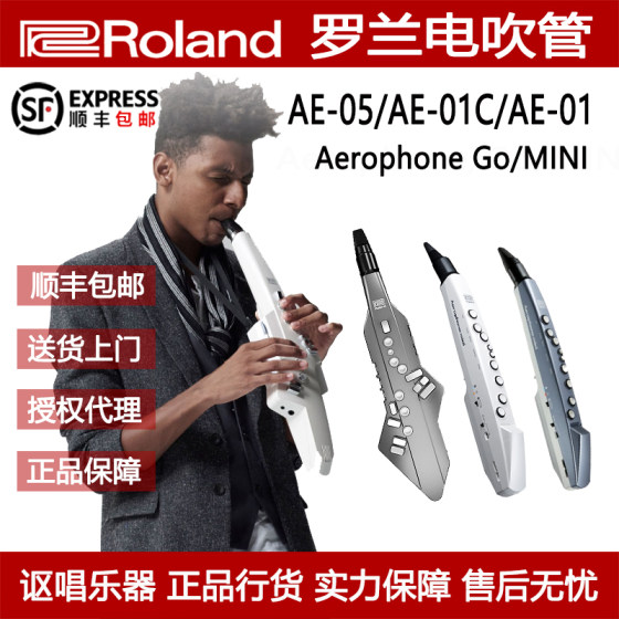 Roland罗兰电吹管电子萨克斯AE-01C AE-05C老年人初学管乐民乐