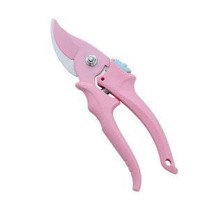 Heidi's garden branches and cutting stainless steel Slali Monthly Embctor Globe Family Horticultural Scissors Home