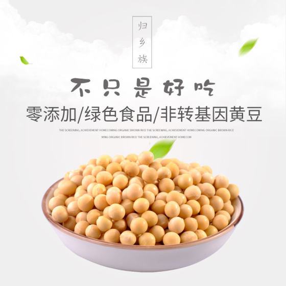 农家自种黄豆特产天然打豆浆专用小黄豆可发芽非转基因杂粮