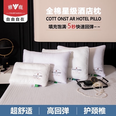 2026年1月6日更新【万能白菜价】的图片 第41张