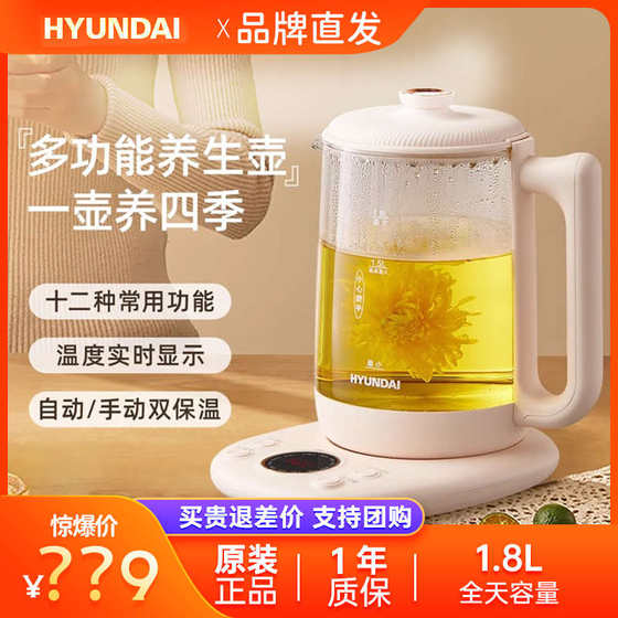 hyundai花茶茶器多功能生壶壶煮2024家用办公室养小型烧茶新款