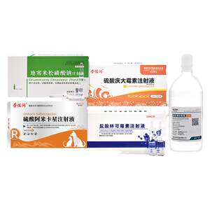 Rongjiarun Cat Nose Branch Nebulizer Treatment Package for Cat, Dog, Cold, Pet Pneumonia, Sneezing, Cough, Nest Cough