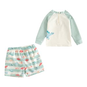
Boys' seaside swimsuit summer 2026 new children's long-sleeved sun protection swimsuit children's quick-drying split swimsuit trend