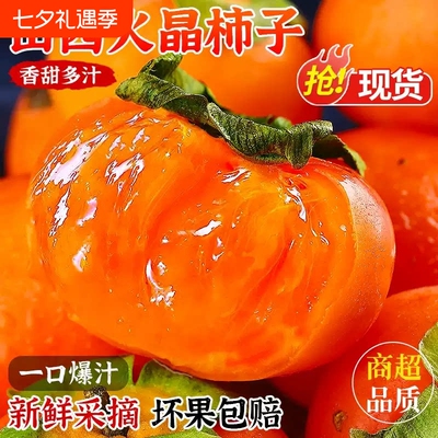 2026年8月19日更新【万能白菜价】的图片 第29张
