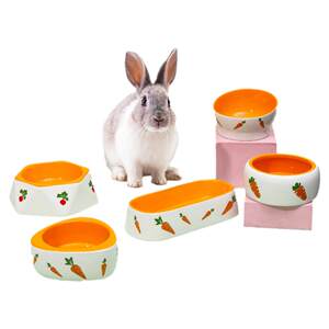 
Pet carrot food bowl rabbit feeding bowl drinking bowl pastoral fresh super cute cartoon color panda ceramic bowl