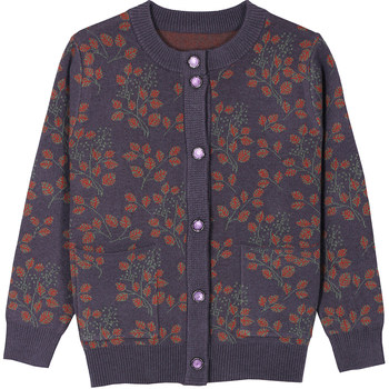 Courtes of cardigan sweater in the middle -aged and elderly sweater with velvet
