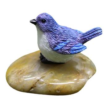 Small bird's nest succulent gardening decorative bonsai