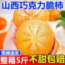 礼金+下拉8.5！【脆甜】山西巧克力脆柿子