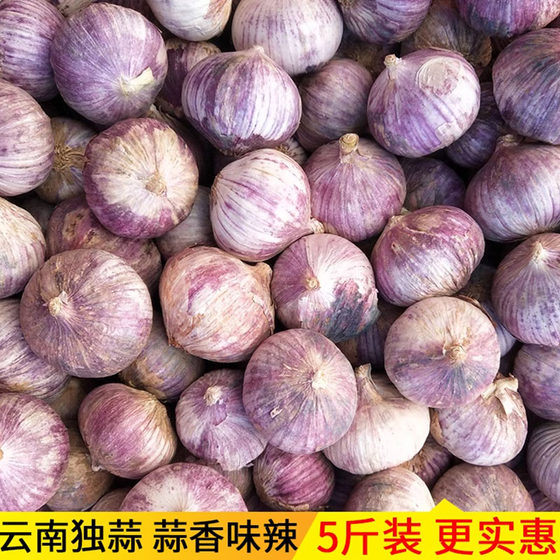 2024新鲜云南独头蒜紫皮珍珠干蒜大蒜头独蒜湿蒜当季5斤整箱包邮