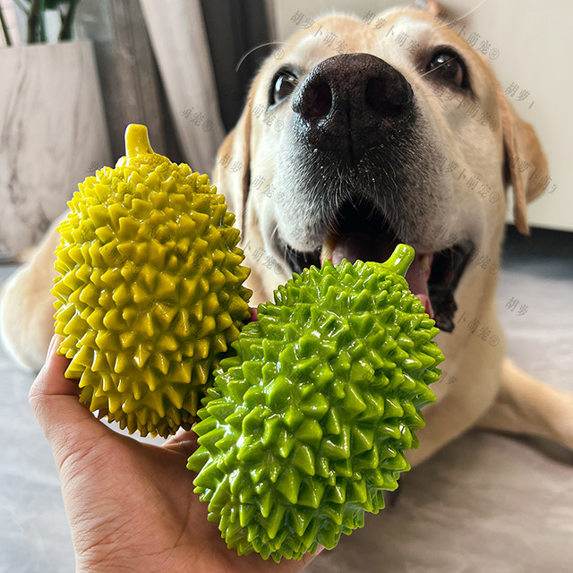 Pet Dog Toy Teething Ball Durian Labrador Golden Retriever Puppy ໃຫຍ່, ຂະຫນາດກາງແລະຂະຫນາດນ້ອຍການຝຶກອົບຮົມຫມາ