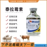 Инъекция тирамитромицина кашля биимитромицина, астма, пневмония, пневмония, пневматическая свинина, крупный рогатый скот, корова микоплазма