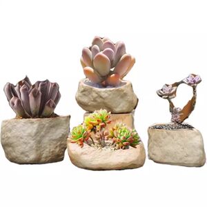 
Stone pottery small stone succulent plant ceramic flower pot retro simple new special offer set combination potted plants with holes