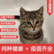 中华田园猫小黑猫健康三花猫正宗梨花全白狸猫猫霸气可爱白橘猫咪