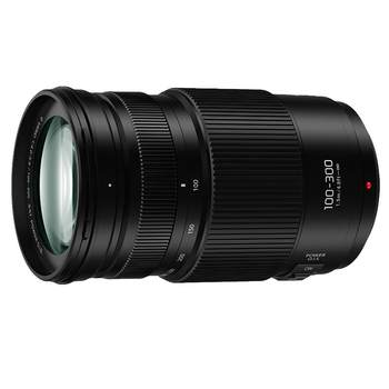 Panasonic 100-300mm telephoto zoom lens