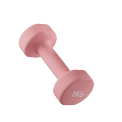 Anfit Dumbbell Women's Dip Plastic Cast Iron