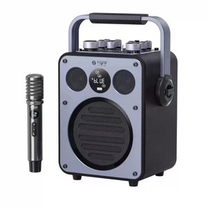 
See you D5 Outdoor Karaoke Audio Square Dance Instrument Performance Home High Volume Portable Speaker