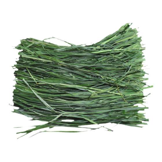 
Chinchilla Hay Dried Timothy Tender Grass Gansu North Suitcase 500g Timothy Dutch Pig Grass Pet Feed