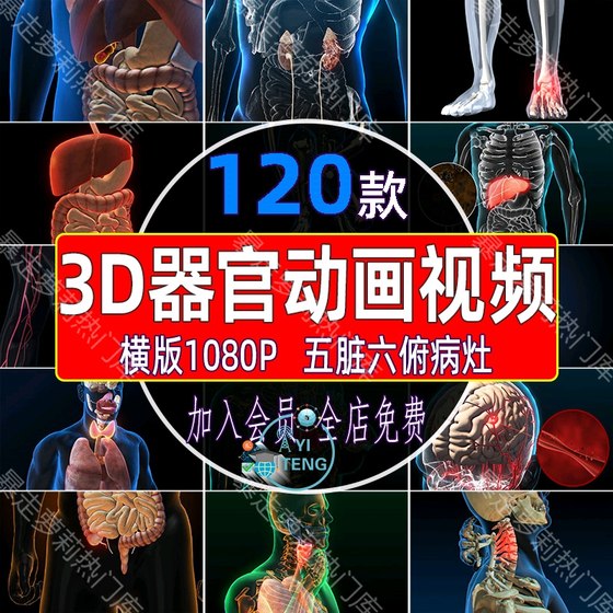 3D医疗科技人体器官动画心脑关节五脏六俯医学演示片高清视频素材