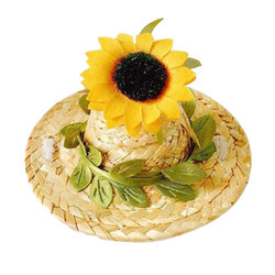 Internet celebrity pet headdress cat hat jewelry dress