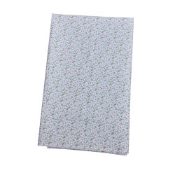 Korean posed picnic cloth blue cotton and linen simple home