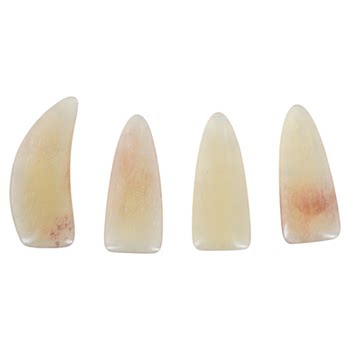 Recommended guzheng nails with sheep, cow horns
