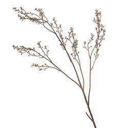 Small tofu branches set up with living room dining table taking photos