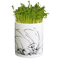 Hedefang Bean Sprout Machine - Household Artifact For Growing Bean Sprouts