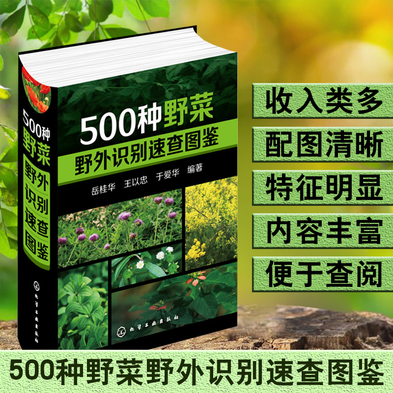 《500种野菜野外识别速查图鉴》（精装）