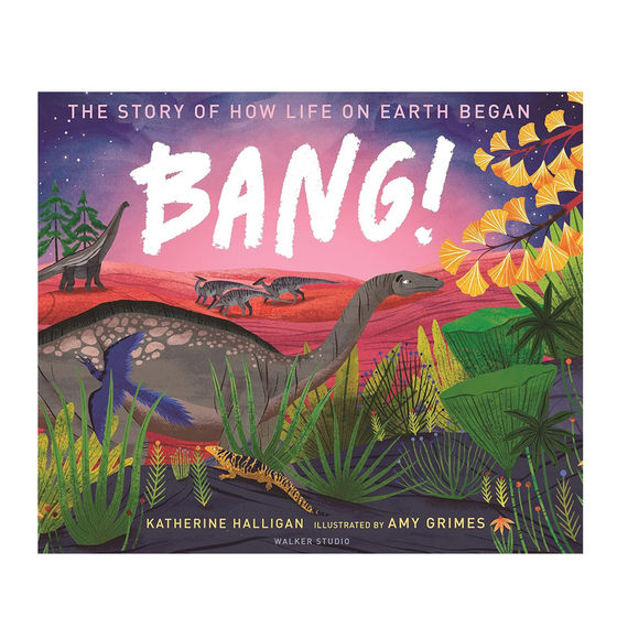 BANG! 지구 생명의 시작에 관한 이야기 ​​지구 생명의 기원에 관한 빅뱅은 4~8세 어린이를 위한 하드커버 그림책으로 지구의 시작부터 인류 출현까지의 여정을 탐구합니다.