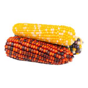 
Hamster snacks, small corn, molar sticks, grains, mealworms, golden bears, flower branches, landscaping, daily necessities and toys