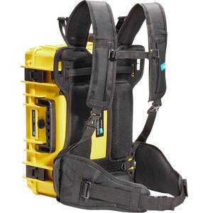 Germany B/W Beauty Safety Protection Box Type5000 6000 Outdoor Back Tibetan BPS Range System
