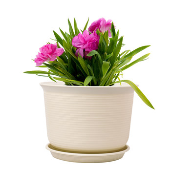 Resin plastic flowerpot garden root control breathable