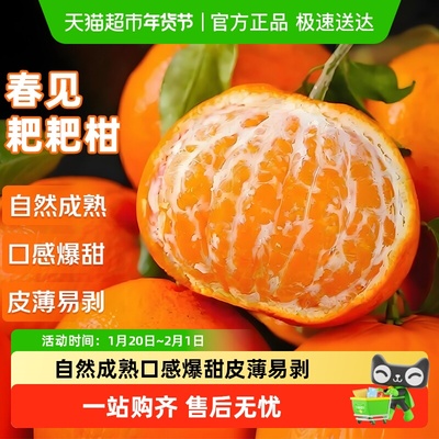 2026年1月28日更新【万能白菜价】的图片 第68张