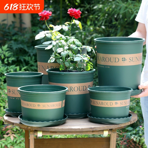 Flowerpot 2024 Новая высококачественная пластиковая смола сочная маленькая зеленая плющ большой галлон горшок третьего поколения проста проста