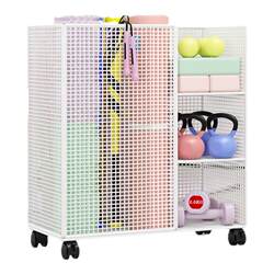 Basket sports equipment fitness equipment storage rack