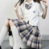 Оригинальная студенческая юбка в складку, японская рубашка, белая дизайнерская мини-юбка, с вышивкой, тренд сезона