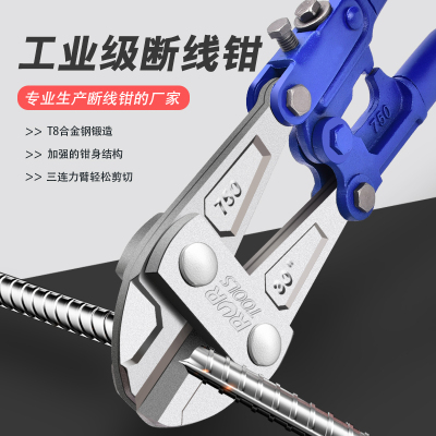 2026年2月15日更新【万能白菜价】的图片 第8张