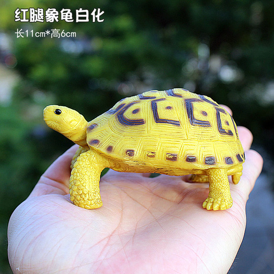 リアルなカメの置物 - 動物モデルおもちゃ