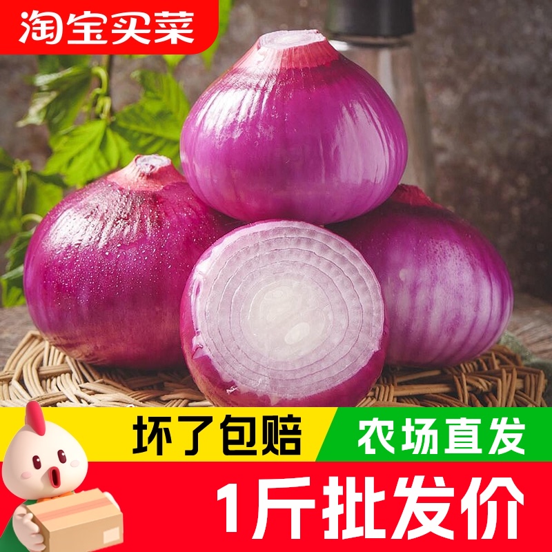紫皮洋葱 2025新鲜圆葱蔬菜红皮特产农家可生吃脆甜5斤现挖现发