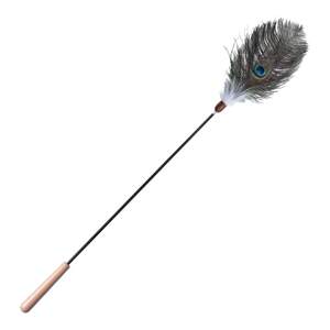 
Peacock Feather Cat Funny Stick Long Rod Cat Energy-consuming Toy Animal Native Smell Enriching Feather Replacement Head