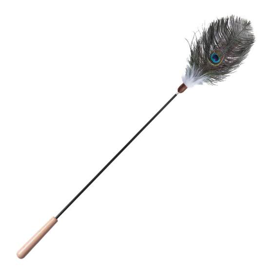 
Peacock Feather Cat Funny Stick Long Rod Cat Energy-consuming Toy Animal Native Smell Enriching Feather Replacement Head