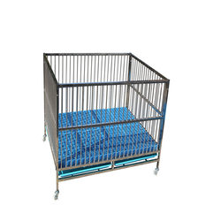 Height-adjustable treadmill for medium and large dogs stainless steel