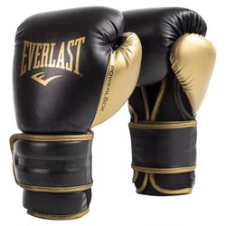 EverlastPowerlock2 Boxing Gloves
