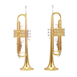 Mammoth Phosphor Bronze Trumpet Instrument B Flat Brass Lacquer Gold Beginner Special Performance Itr-600